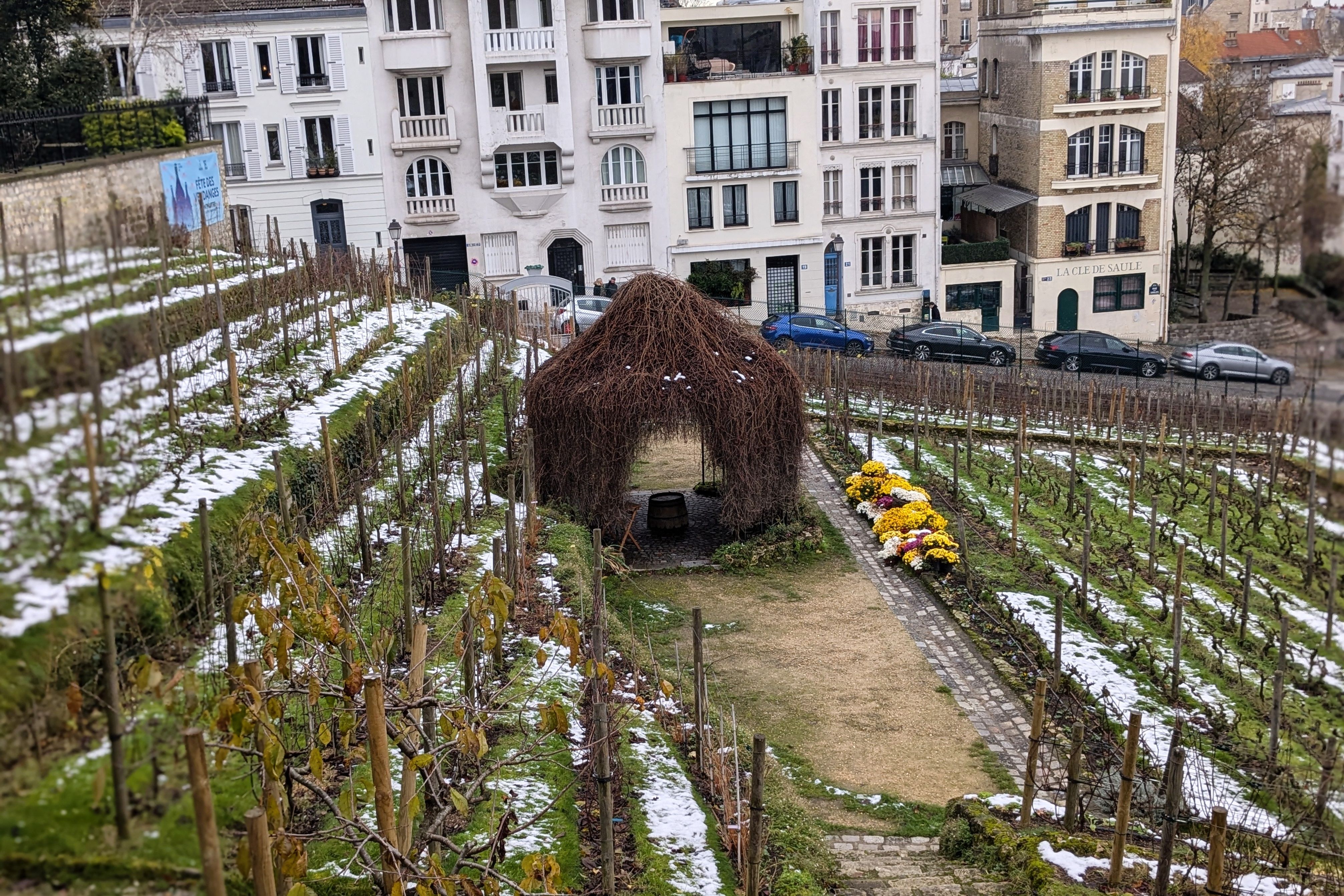 Weinberge- Clos Montmartre, Paris / Foto: NDOZ