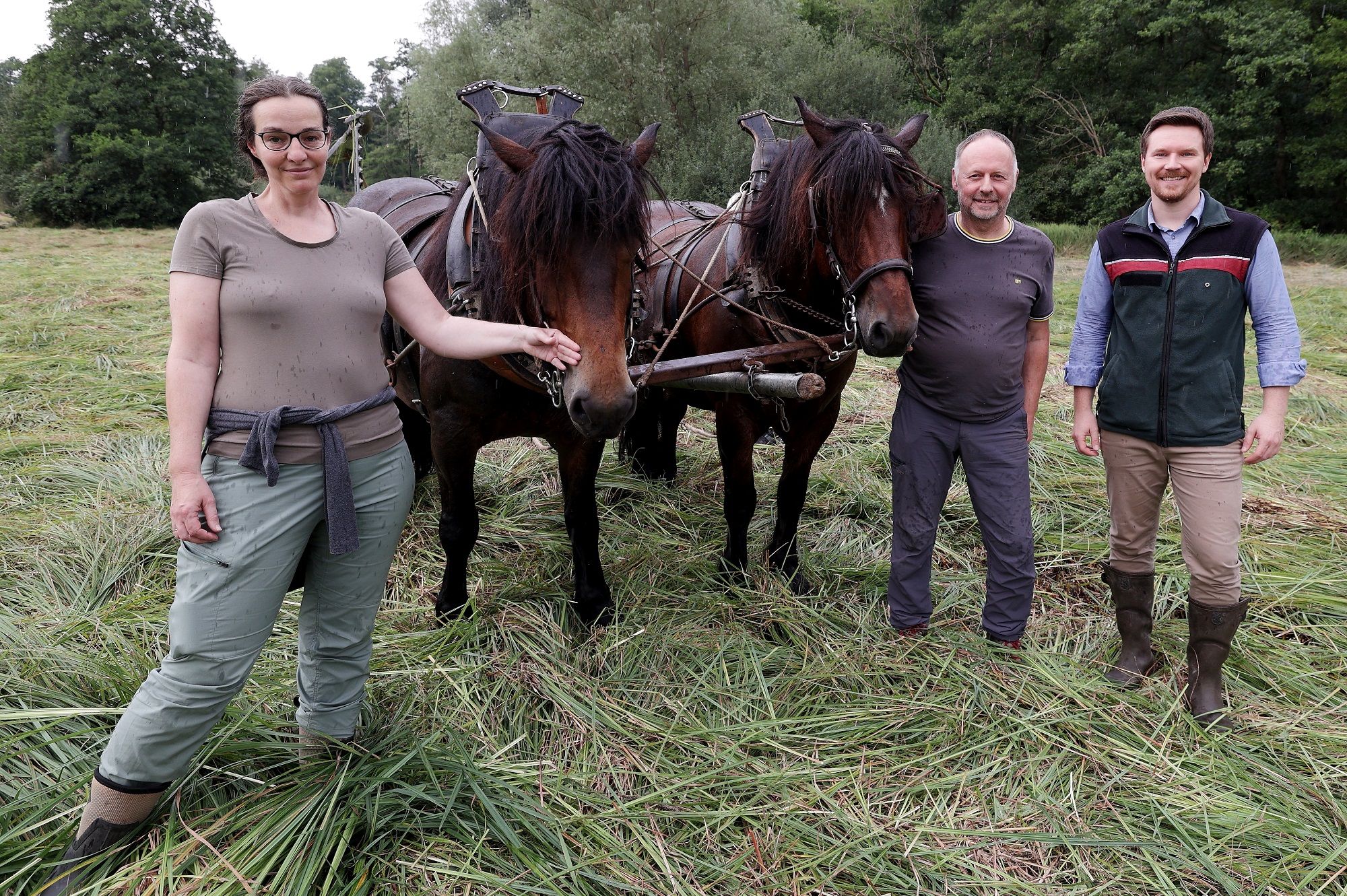 Marius Erley, Abteilungsleiter Forst, Elmar Stertenbrink Fuhrhalterei Stertenbrink, und Nina Jäger, Leiterin Landschaftspflegestation "Hexhof" stellten die Pferdemahd im Eller Forst vor © Landeshauptstadt Düsseldorf/David Young 