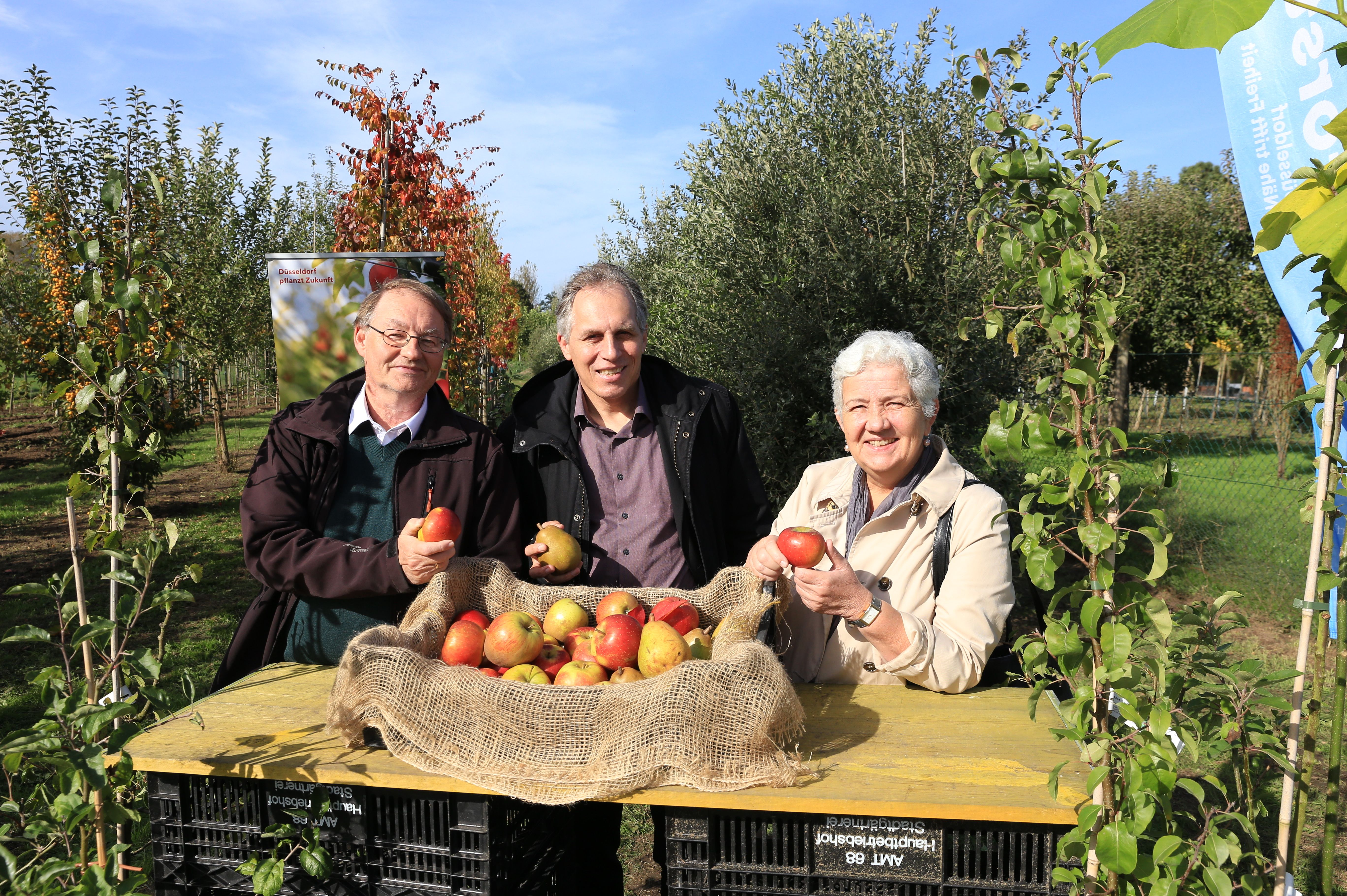 (v.l.) Jörg Langenhorst, Leiter Hauptbetriebshof im Gartenamt, Umweltdezernent Jochen Kral und Gartenamtsleiterin Doris Törkel zeigen Äpfel und Birnen, auf die sich Obstbaumbesitzer bei der Ernte freuen können © Landeshauptstadt Düsseldorf/Ingo Lammert 