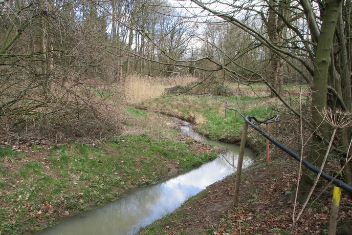 Der Pillebach ist ein ca. 6,5 km langer Bach, der von der Quelle in Ludenberg bis zur Mündung in die nördliche Düssel in Gerresheim das Düsseldorfer Stadtgebiet nicht verlässt. Interessierte sind herzlich eingeladen, an den Gewässerschauen teilzunehmen © Landeshauptstadt Düsseldorf/Marcel Neuhaus 