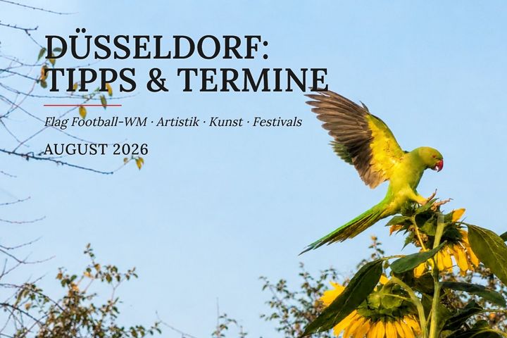 Tipps & Termine Düsseldorf im August 2026 Topbild für die Düsseldorfer Tipps und Termine im August 2026: Ein grüner Halsbandsittich landet mit ausgebreiteten Flügeln auf Sonnenblumen. Links stehen der Titel und die Themen Flag Football-WM, Artistik, Kunst und Festivals.